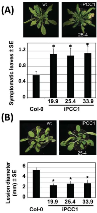 Fig. 2.  Effect of ABA on wild-type and iPCC1 stomatal aperture  and root growth. (A) The stomatal aperture, expressed as the  ratio of length to width as indicated in the image in the left panel,  was calculated for the wild type and two iPCC1 lines eithe