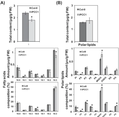Fig. 4.  Comparative polar lipid proﬁle of iPCC1 and wild-type plants. The total amounts and percentage composition of each class of  (A) fatty acids and (B) polar lipid are shown from the top to bottom panels as indicated