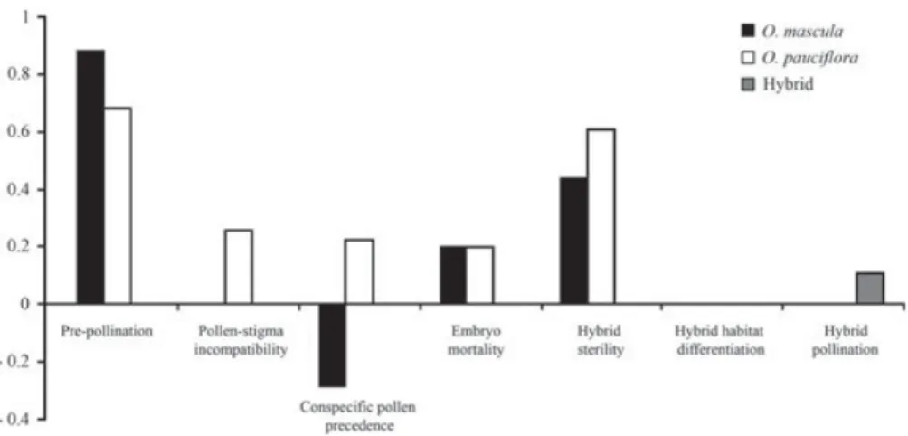 Figure 1. Absolute strength of each investigated component of reproductive isolation in Orchis mascula and Orchis pauciﬂora and their hybrids.