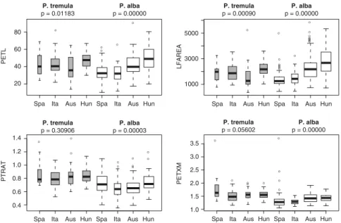 Figure 1 Boxplots showing untransformed phenotypic measurements for P. tremula (gray) and P