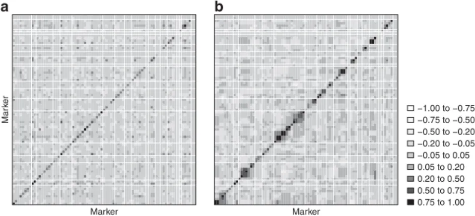 Figure 5 LD measured as correlation coefﬁcients between all locus-pairs for admixed individuals for (a) the Italian hybrid zone locality; (b) simulated data after 22 generations (above diagonal) and 32 generations of admixture (below and on diagonal)
