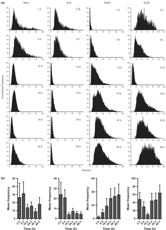 Fig. 8 Protein expression analysis of Mcsc, SctJ, PahN, and SctW (CopN). Two proteins (Mcsc and SctJ) encoded by genes that are transcribed during the early and mid-phase, one protein (PahN) encoded by a mid-phase-transcribed gene and one protein (SctW) en