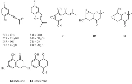 Figure 2 Metabolites isolated from Eutypa lata: eutypine (1), eutypinol (2), siccayne (3) and eutypinic acid (4), their cyclic homologue compounds (5–8), the epoxide eutypoxide B (9) and chromanones (10–11)