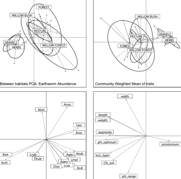 Fig. 3. Principal component analyses (PCA) of earthworm abundance and community weighted means of traits data from the Thur River site