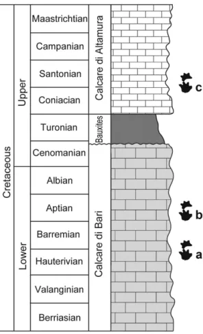 Fig. 2. Stratigraphic distribution of purported ankylosaur tracks in the Cretaceous platform deposits of Murge and Gargano Promontory (Puglia, southern Italy)