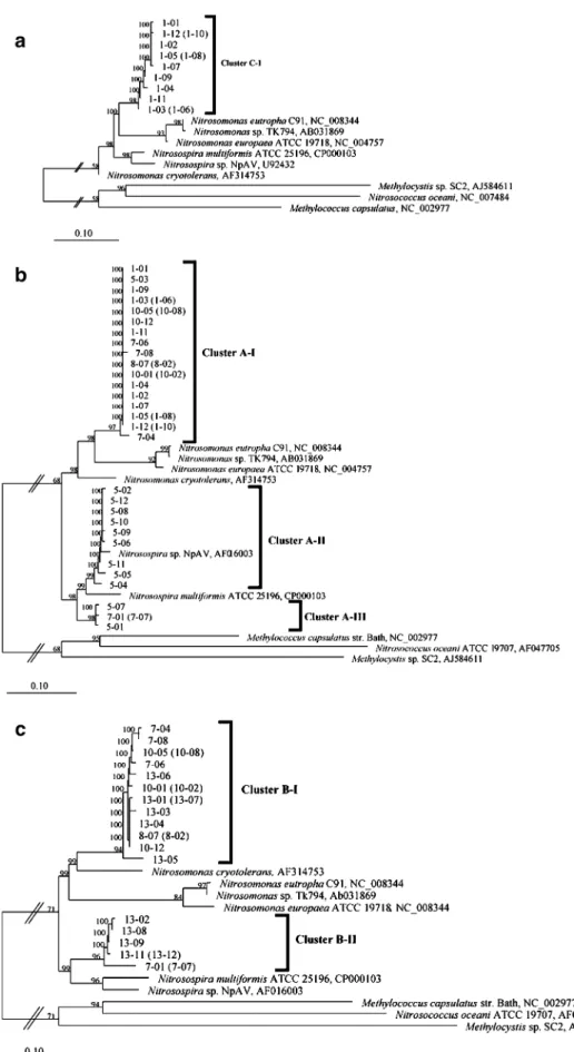 Fig. 6 Phylogenetic tree based on AmoC (a), AmoA (b), and AmoB (c) sequences obtained from the Baltic Sea water–