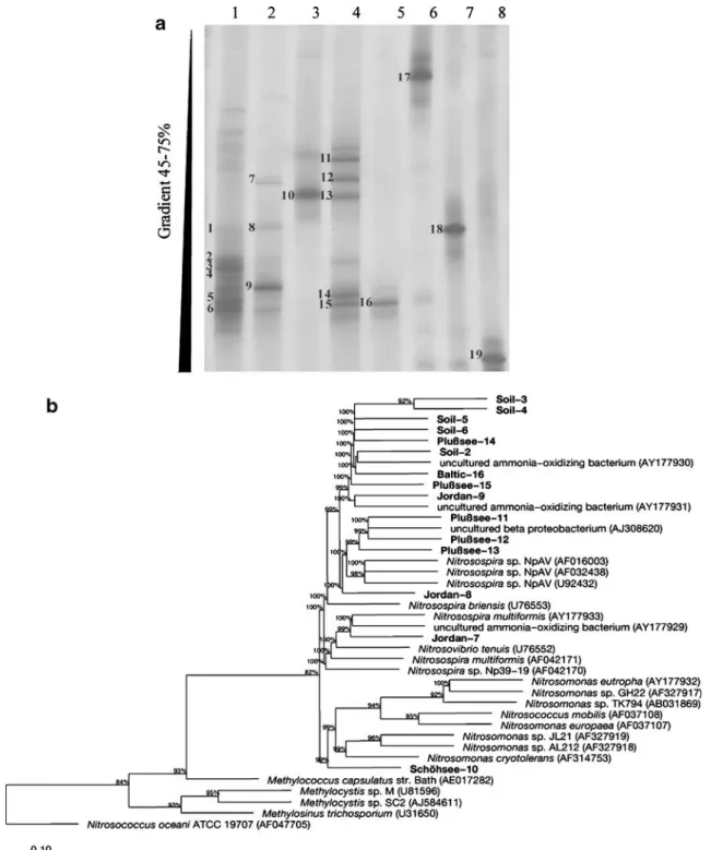 Fig. 4 Evaluation of nested PCR coupled to DGGE for analysis of AOB communities in environmental samples