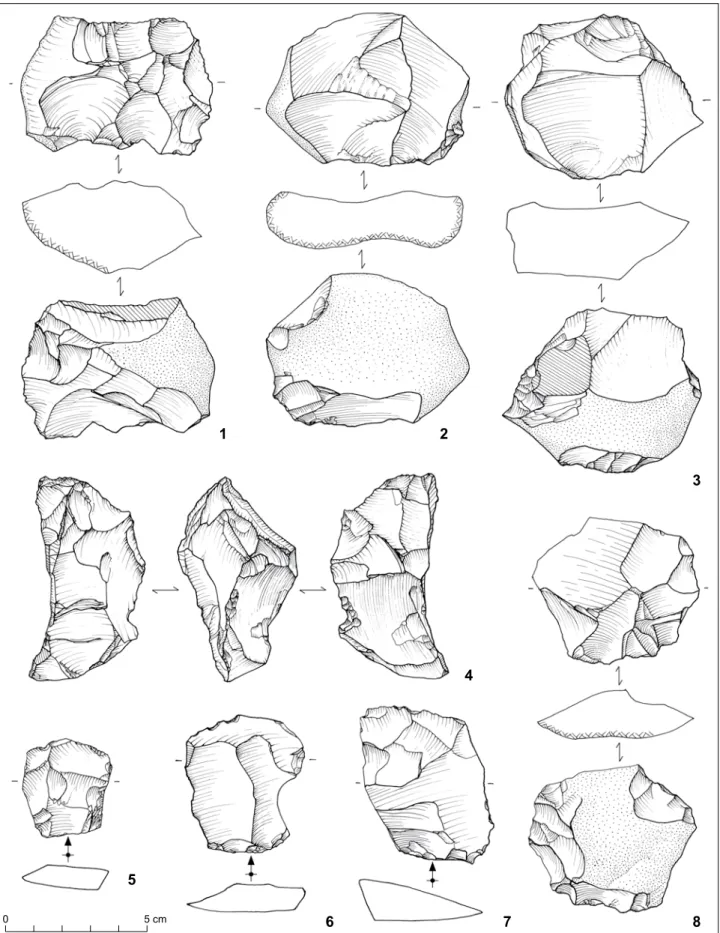 Fig. 6. Alle, Les Aiges. 1-3, 8. Nucléus Levallois ; 4. nucléus discoïde (fragment) ; 5-7