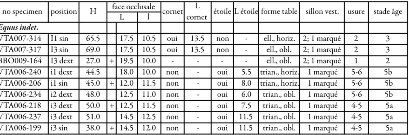 Tableau 3. Dimensions et caractères morphologiques des jugales inférieures attribuées à E
