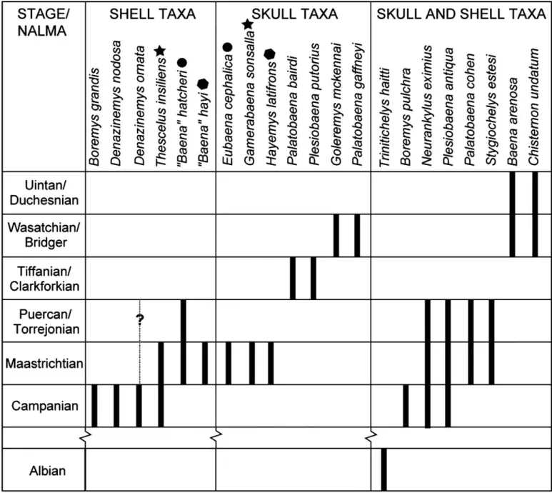 FIGURE 4. Revised alpha taxonomy of baenid turtles mapped against the stratigraphic ranges (bold lines) reported for each taxon