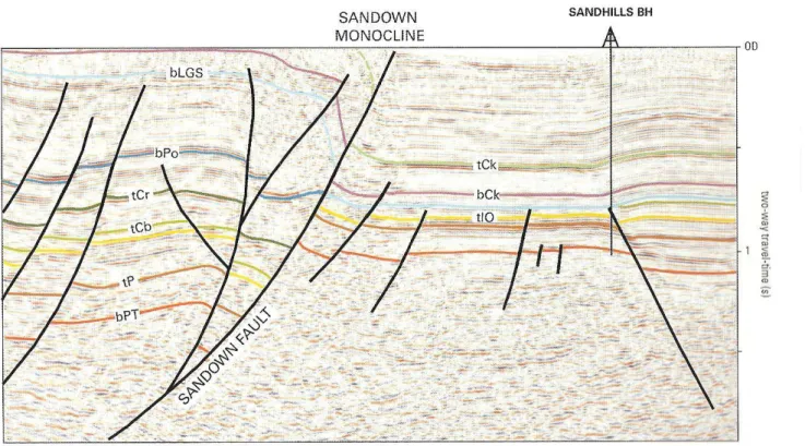 Figure 6:  A seismic cross-section through the Island. 