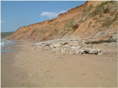 Figure 9:  The Hanover Point Sandstone in red Wessex silts.