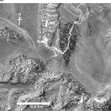 FIGURE 2. Aerial photo of the partial Warm Springs Ranch in central Wyoming, showing location of the BB, BS, and SI quarries