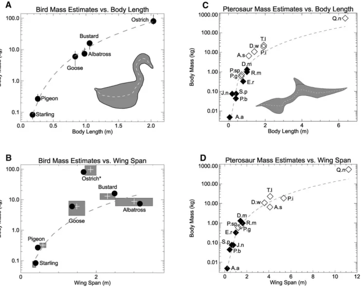 FIGURE 4. Logarithms of estimated total body mass—axial body + limbs − lungs ( + patagia)—determined for the bird and pterosaur models of Figures 1, 2, and 3 plotted against body length and wingspan