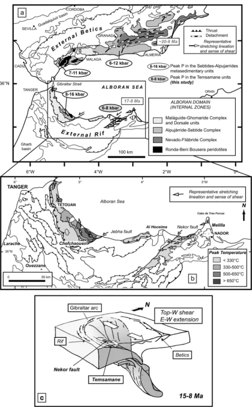 Fig. 12. (a) Geological map of the Betic–