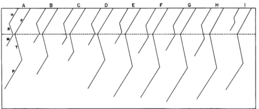 FIG. 4. Graph showing the limb proportions in various saurischians, with the femur as a constant