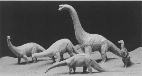 FIG. 2. Dinosaur models, scaled at one-twenty-fourth to one-twenty-seventh natural size
