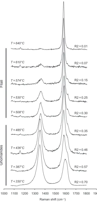 Fig. 5. Representative Raman spectra obtained from samples collected in the Alboran Domain in the Rif