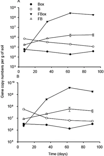 Fig. 3. Quantification of frc gene (A) and 16S rRNA gene (B) copy numbers by qPCR in microcosms with sterile soil and inoculated with allochthonous microbial community