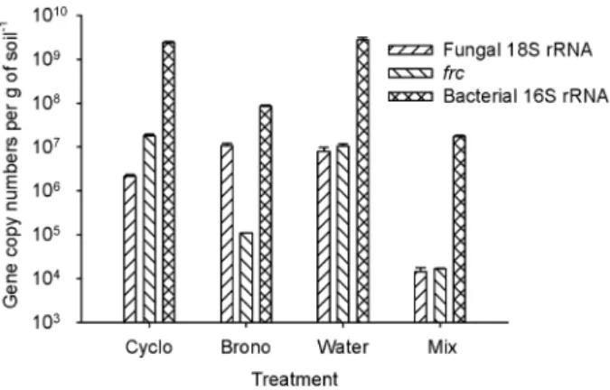 Fig. 6. Quantification of frc, 16S rRNA gene and 18S rRNA gene copies at the end of the experiment performed in soils with native microflora and treated with biocides