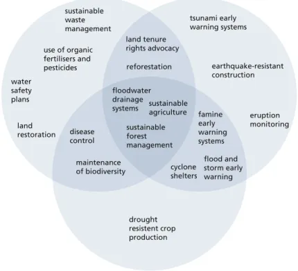 Figure 2 Overlap of adaptation (to climate change and to degraded environments) and DRR
