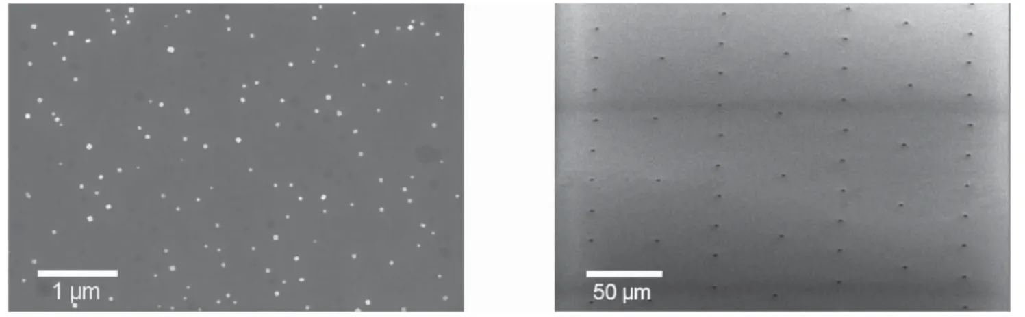 Fig. 5 SEM images of the investigated samples; left: NaCl nanostructures; right: Cr pads