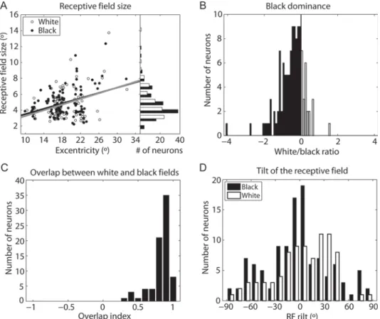 Figure 2. RF parameters and population analysis. ( A ) The average RF size is plotted against the eccentricity in the visual ﬁ eld of the center of the RF separately for black (black circles) and white (open circles) RFs