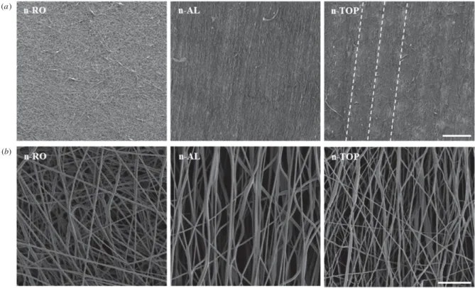 Figure 3. SEM images of randomly oriented (n-RO), parallel-oriented (n-AL) and patterned (n-TOP) electrospun matrices at low (a) and high (b) magniﬁcations