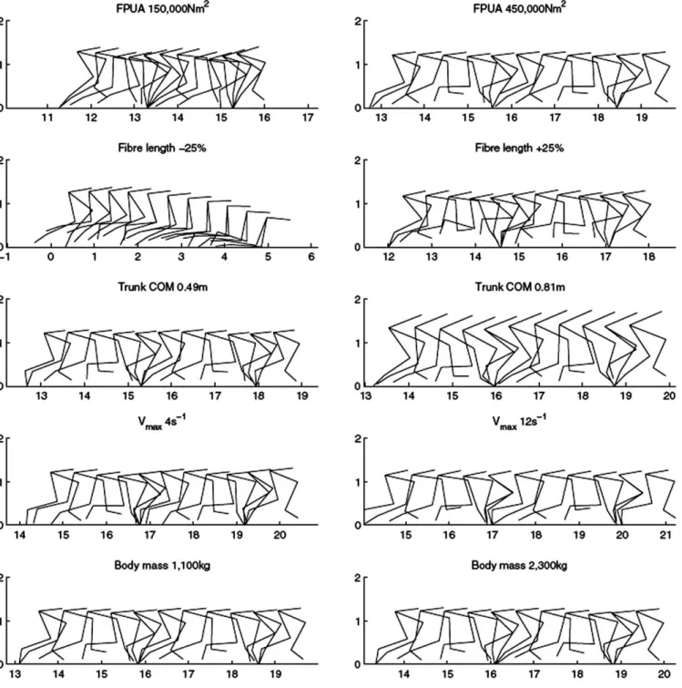 FIGURE 2. Overlay images of the best gait solutions for the minimum and maximum values of A, FPUA, B, ﬁber length, C, trunk CM, D, V max , and E, body mass for Allosaurus in the OAAT sensitivity analysis
