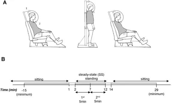 Figure 1. Experimental design and time-line. Schema of experimental design. Posture-adapted ventilated hood indirect calorimetry set-up for sitting and standing measurements (Panel A)