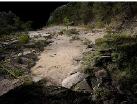 Figure 2. LiDAR scan of the main tracksite at Glen Rose.  The image shows raw point cloud data, in  which points have been colour-coded using images from the integrated digital camera.