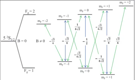 Figure 1.5: Magnetic dipole matrix elements values computed for the ground state transi- transi-tions of 87 Rb atom.