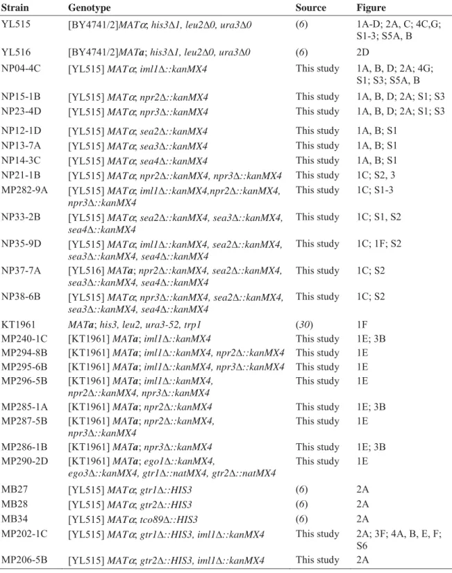 Table S1.  Strains used in this study 