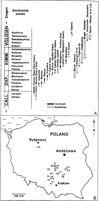 Figure  1  -  A.  Stratigraphic  extent  of the  Polish  sections  stu-  died.  Numbers  below  sections are  the  locations  shown  on  Fig