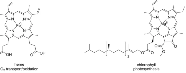 Figure 2. The structures of four «pigments of life» and the processes they perform.  