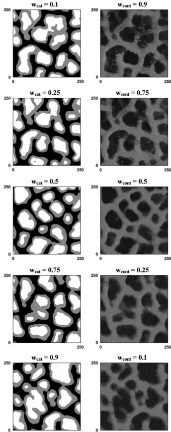 Fig. 12 shows that not only the spatial texture of each TI is reproduced, but also the multiple-point dependence between the