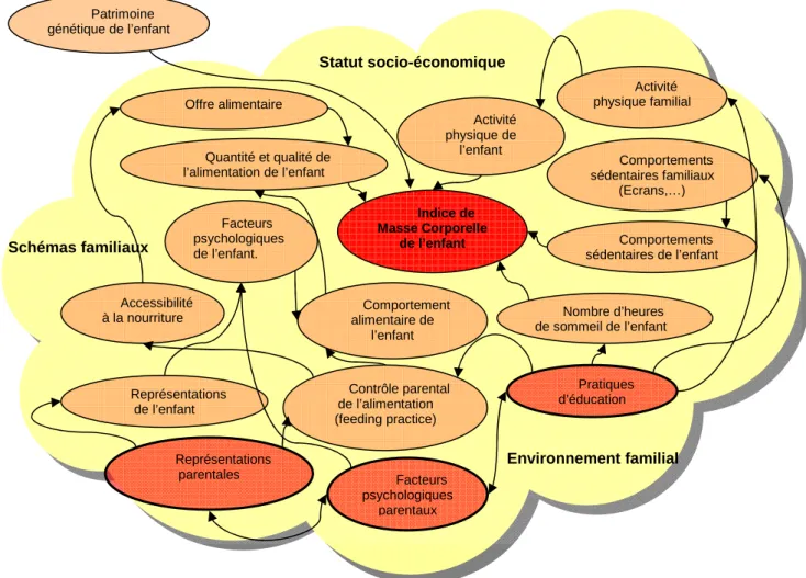 Figure : Influence parentale sur l’Indice de Masse Corporelle de l’enfant 