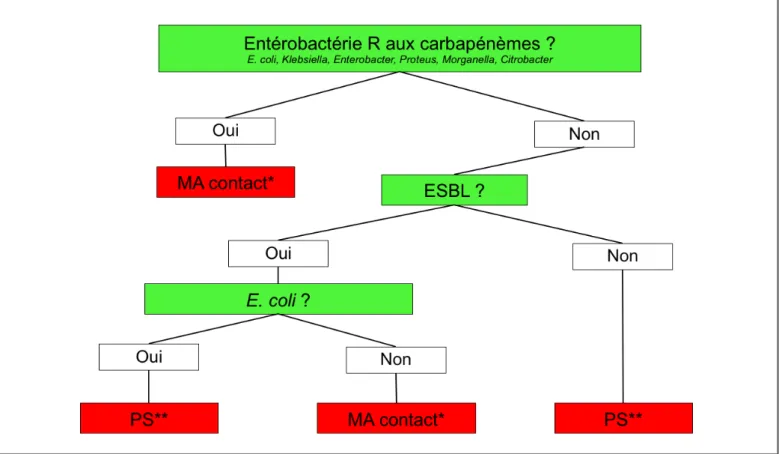 Figure 1: Prise en charge des patients porteurs d’entérobactéries productrices d’ESBL