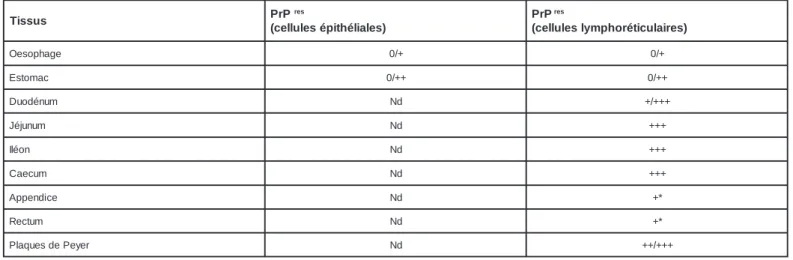 Tableau 1 : Répartition de la protéine prion de la scrapie détectée par immunohistochimie / Western Blot dans différentes parties du tractus digestif du mouton, d’après (Andreoletti O