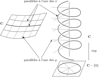 Figure 3. L’exponentielle complexe