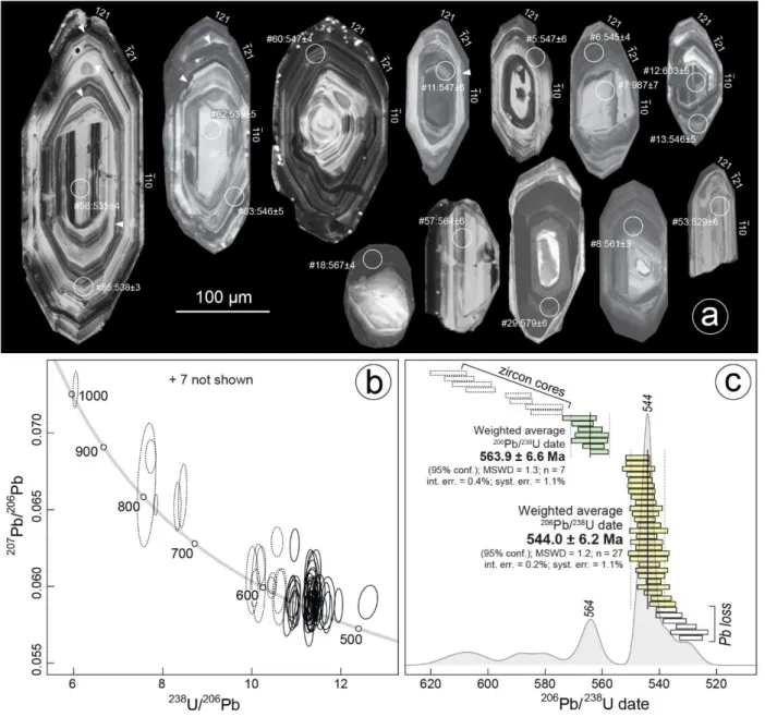 Figure 3: (a) Representative cathodoluminescence images of zircon grains from the Montredon–Labessonnié orthogneiss