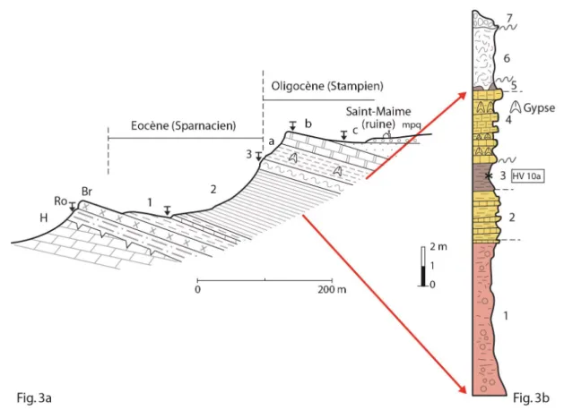 Fig. 3 : Coupe et logs stratigraphiques de la butte de Saint-Maime. Fig. 3a : Coupe géologique de la butte de Saint-Maime d’après F