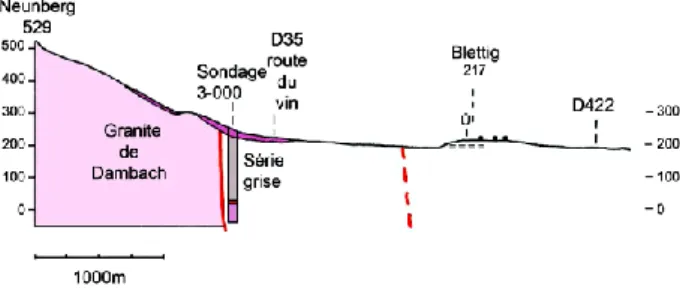 Fig.  10 : Coupe  géologique  du  massif  granitique  de  Dambach  à  la  colline  du  Blettig  passant environ 800 m au Nord du centre de Dambach-la-Ville, Bas-Rhin, France