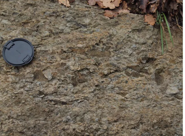 Figure 7. Partially welded ignimbrite cropping out at the GIV-4011. 