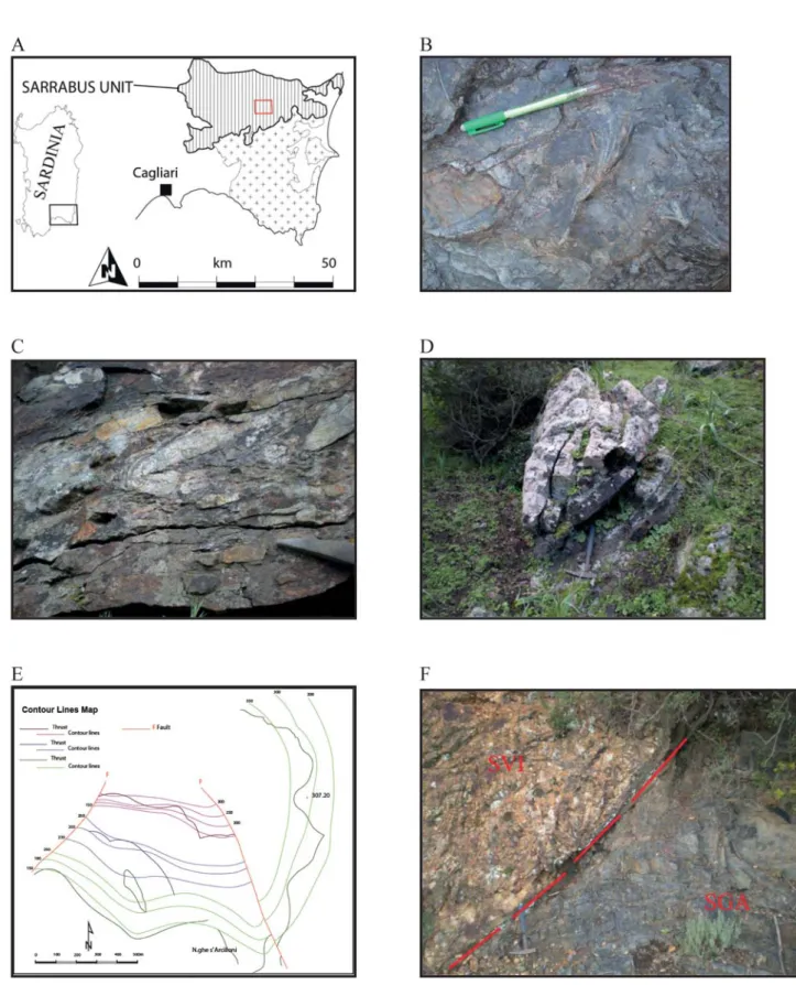 Fig. 1-A.- location of the studied area; B: Phycodes circinatum indicating an overturned limb in the Riu is Istrias member;