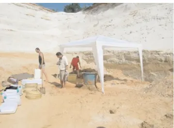 Figure 11 - Excavation work in the Mississippi quarry (Essonne NR).