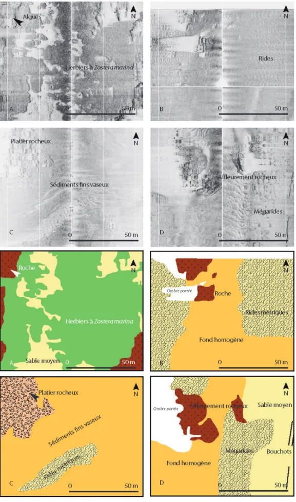 Fig. 6 - Sonogrammes du chenal du Sund.