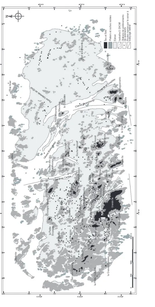 Fig. 3 -  Plan de positionnement des données: prélèvements sédimentologiques et transects par sonar latéral