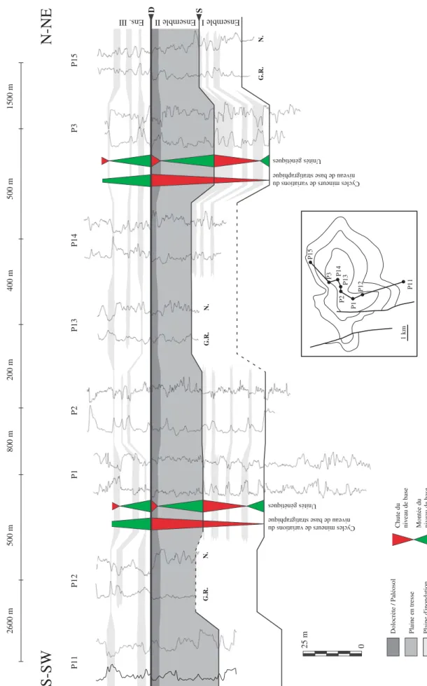 Fig. 11 - Transect de corrélation séquentielle SSW-NNE à l'échelle du site de Chémery