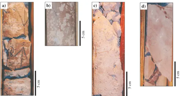 Fig. 5 - Les faciès dolomitiques : a) Faciès Dn, concrétions et filaments dolomitiques se développant dans un faciès argileux